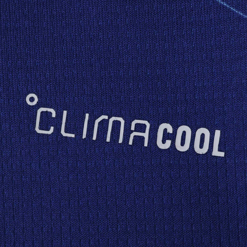 Japan Heimtrikot