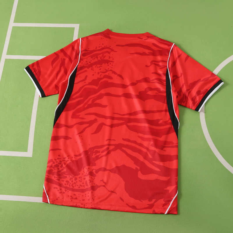 Südkorea Heimtrikot