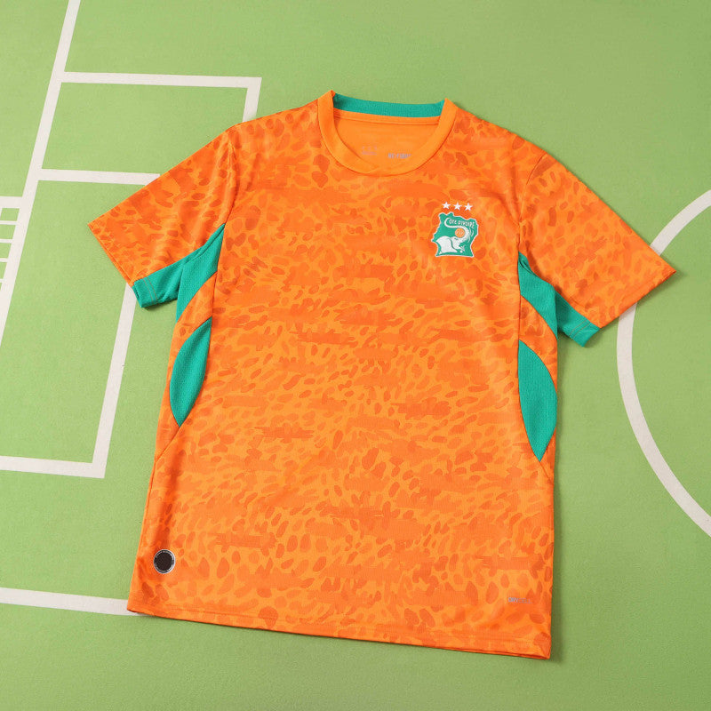 Elfenbeinküste Heimtrikot
