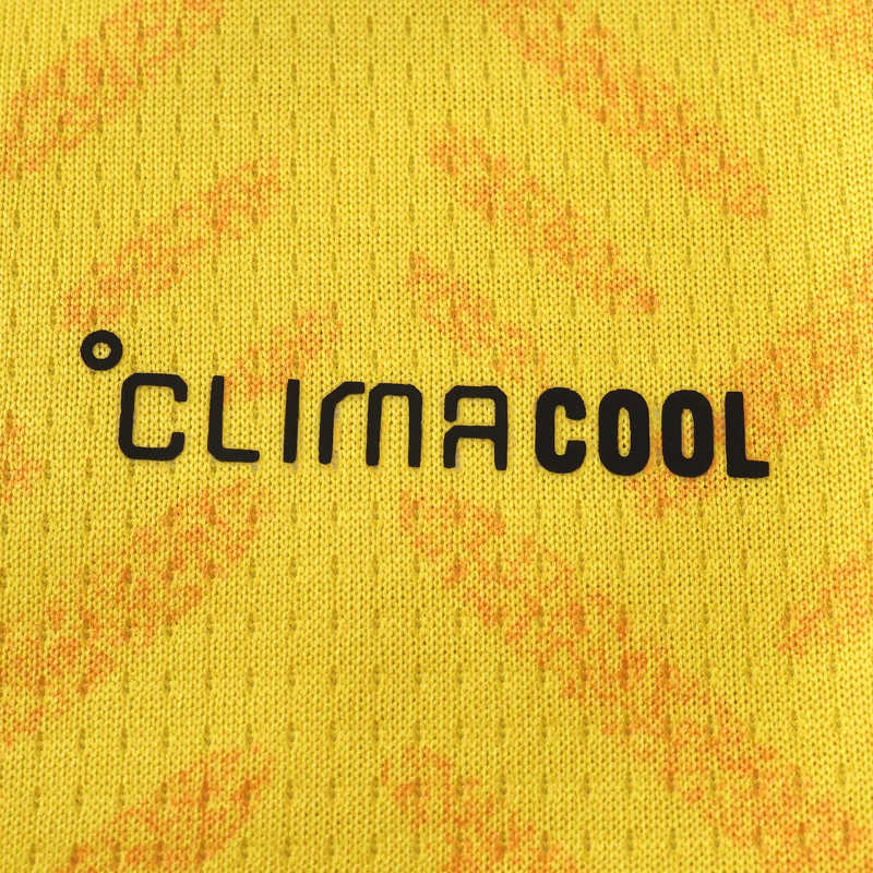Südafrika Heimtrikot